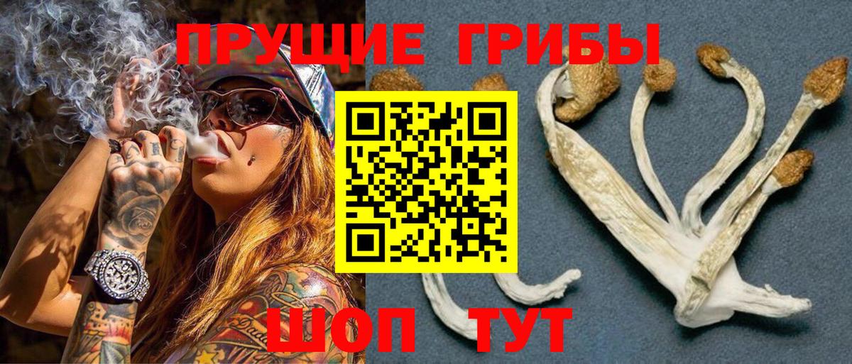 Галлюциногенные грибы прущие грибы Анапа